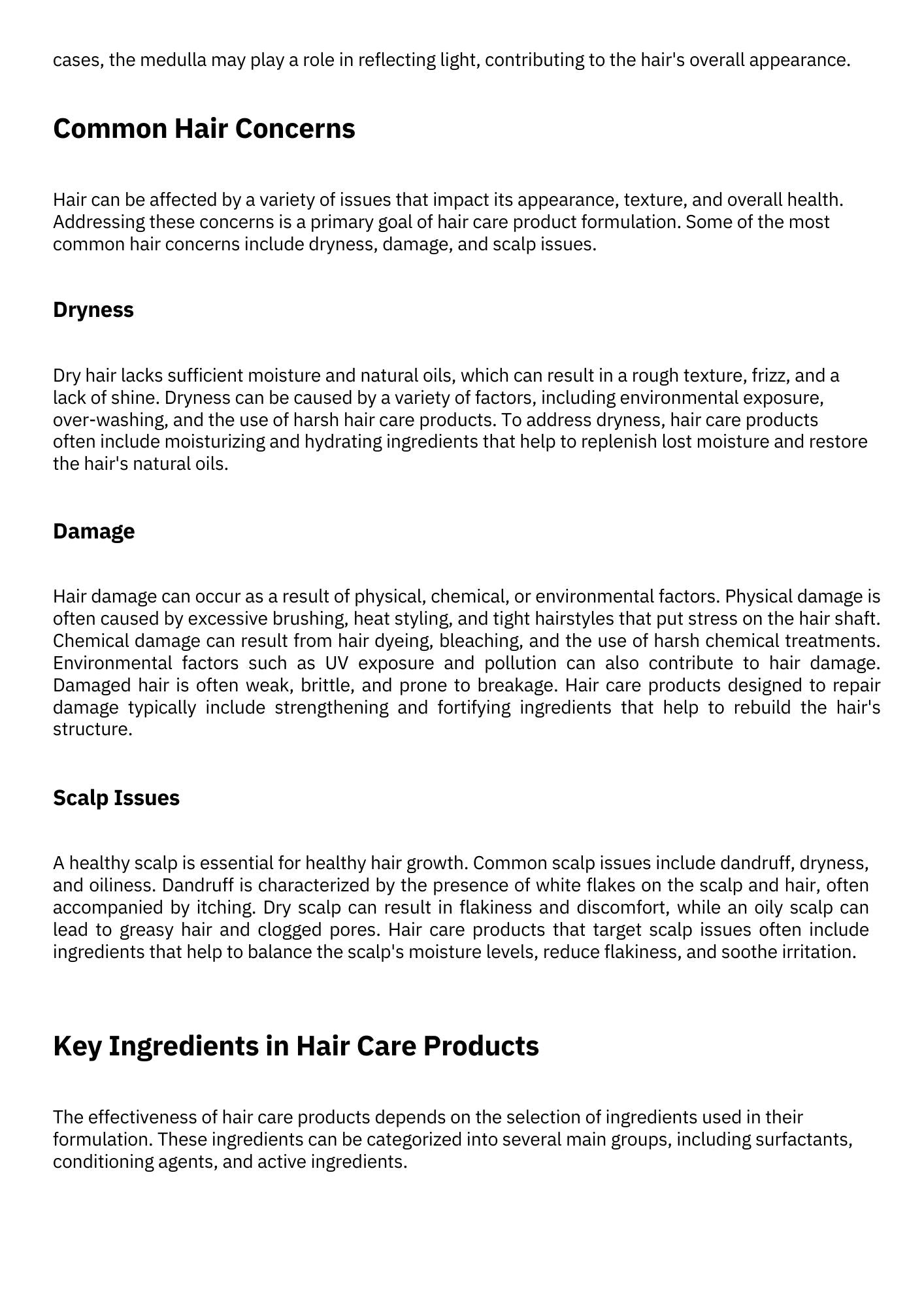 Hair Care product Formulation